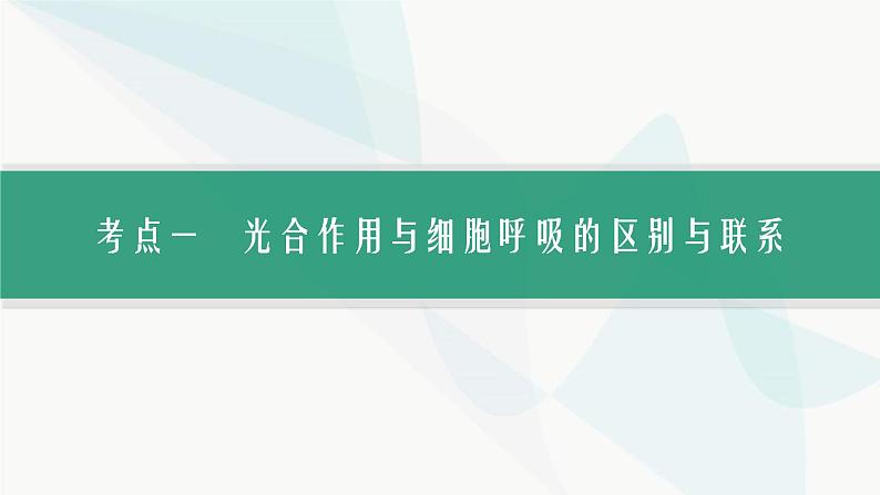 浙科版高考生物一轮复习第2单元细胞的代谢第8讲第3课时光合作用与细胞呼吸的综合课件第2页
