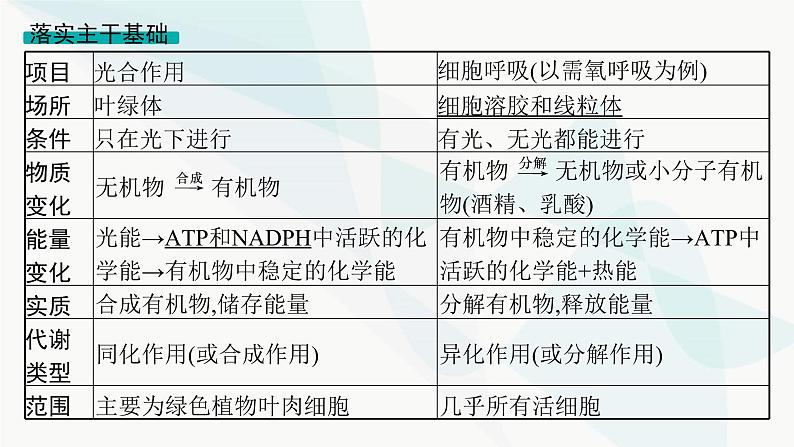 浙科版高考生物一轮复习第2单元细胞的代谢第8讲第3课时光合作用与细胞呼吸的综合课件第3页