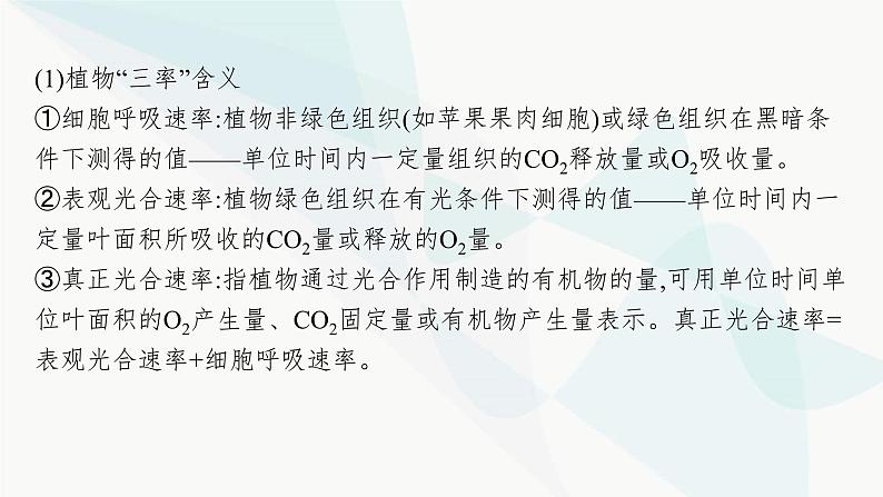浙科版高考生物一轮复习第2单元细胞的代谢第8讲第3课时光合作用与细胞呼吸的综合课件第6页