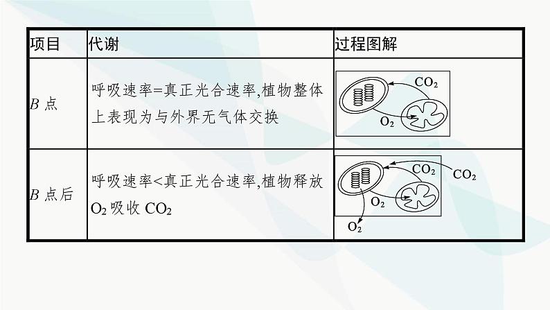 浙科版高考生物一轮复习第2单元细胞的代谢第8讲第3课时光合作用与细胞呼吸的综合课件第8页
