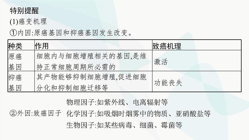 浙科版高考生物一輪復(fù)習(xí)第3單元細(xì)胞的生命歷程第11講細(xì)胞的分化、衰老、凋亡和癌變課件第5頁
