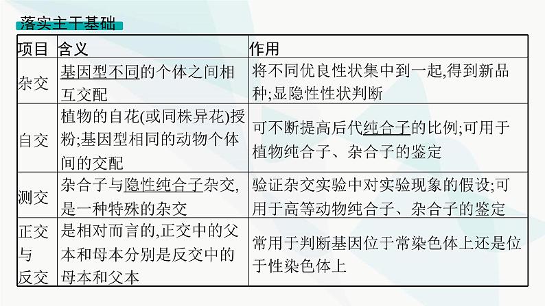 浙科版高考生物一轮复习第4单元遗传的基本规律及应用第12讲第2课时分离定律的题型突破课件第3页