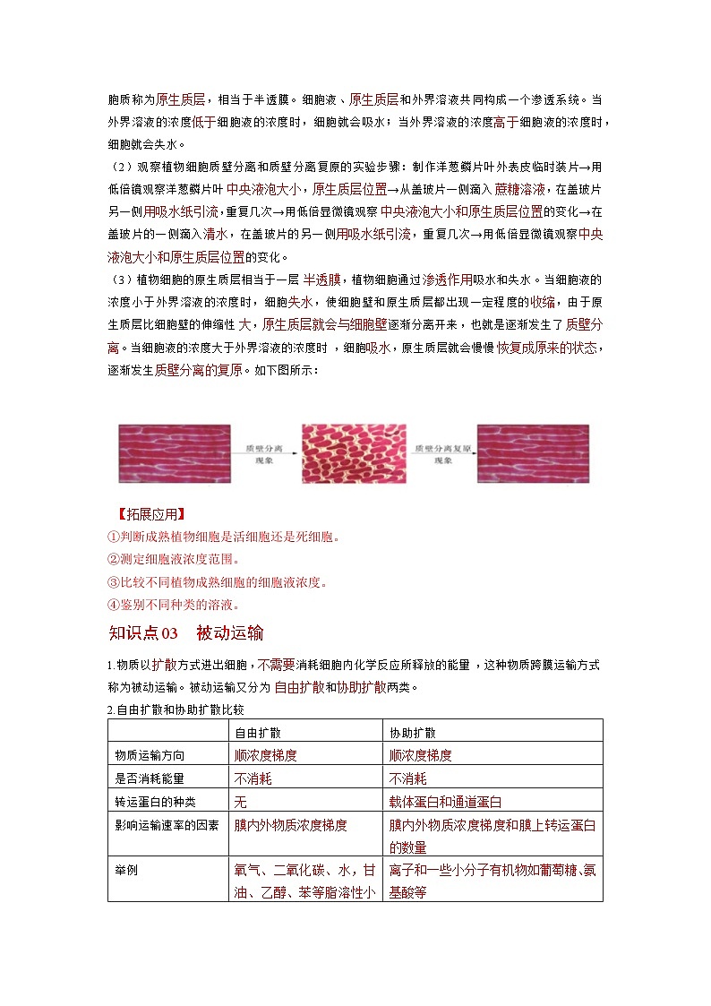 人教版(2019)必修一4.1 被动运输知识清单02