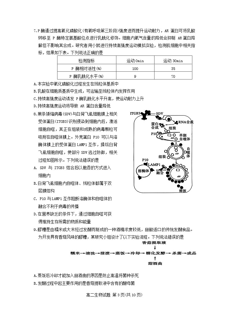 山东省滨州市2023-2024学年高二下学期7月期末生物试题03