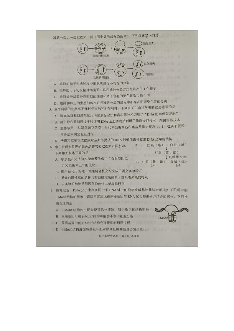 广东省梅州市2023-2024学年高一下学期期末联考生物试卷第2页