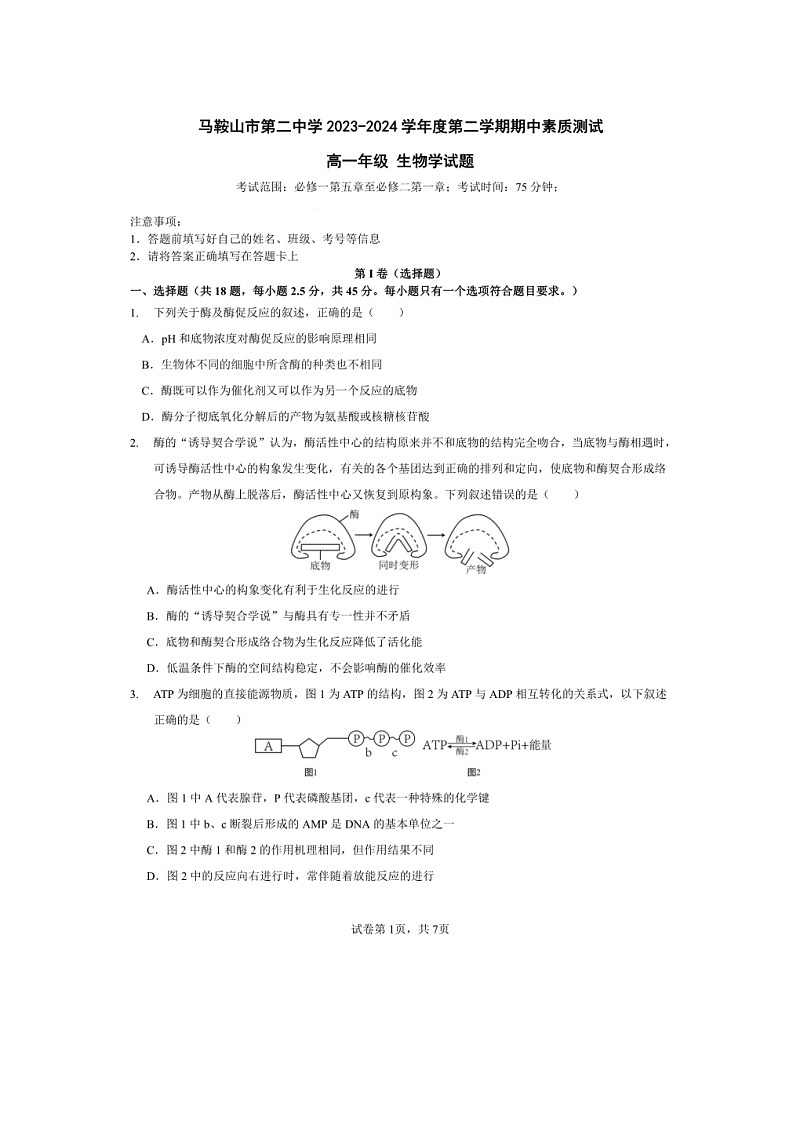 安徽省马鞍山市第二中学2023-2024学年高一下学期期中素质测试生物试题01
