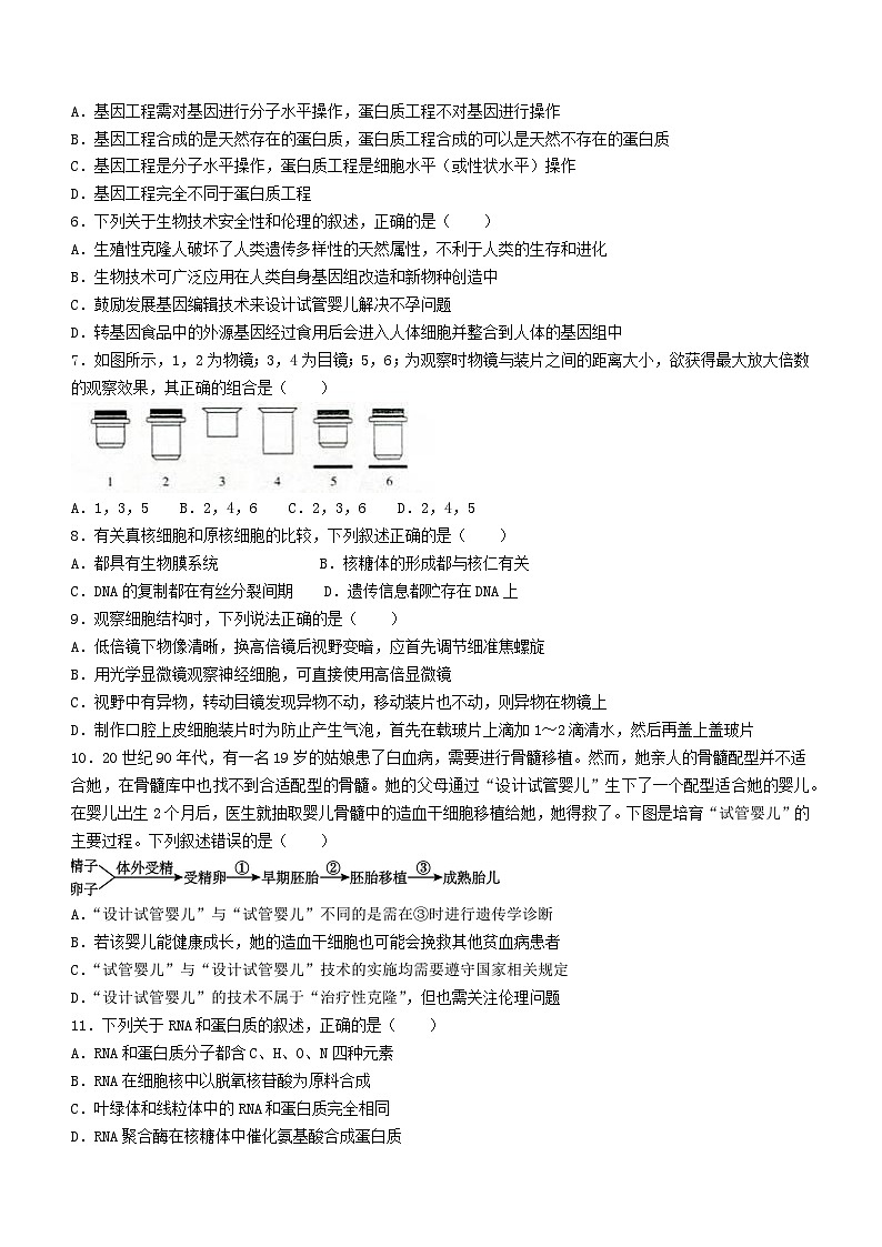 宁夏回族自治区银川市灵武市银川滨河新区小孔明学校2023-2024学年高二下学期期末学科教学质量检测生物试卷(无答案)第2页
