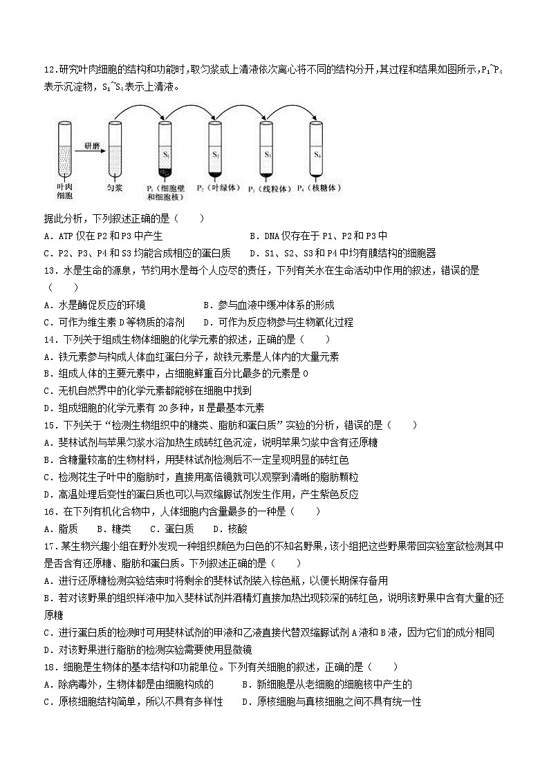 宁夏回族自治区银川市灵武市银川滨河新区小孔明学校2023-2024学年高二下学期期末学科教学质量检测生物试卷(无答案)第3页