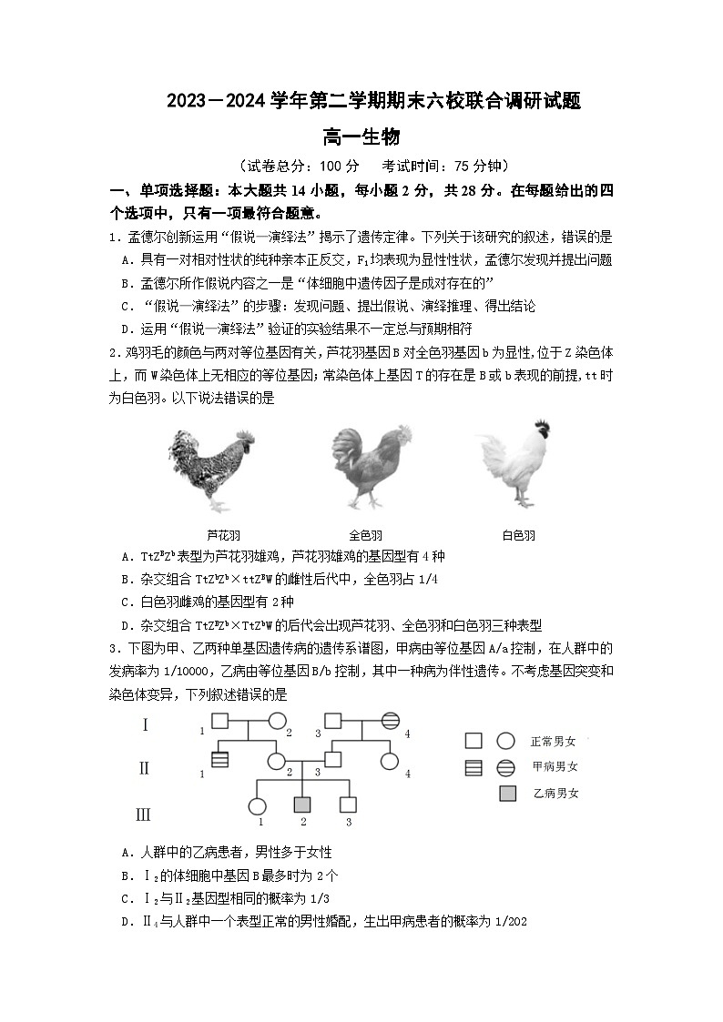 2024南京六校联合体高一下学期6月期末考试生物含答案01