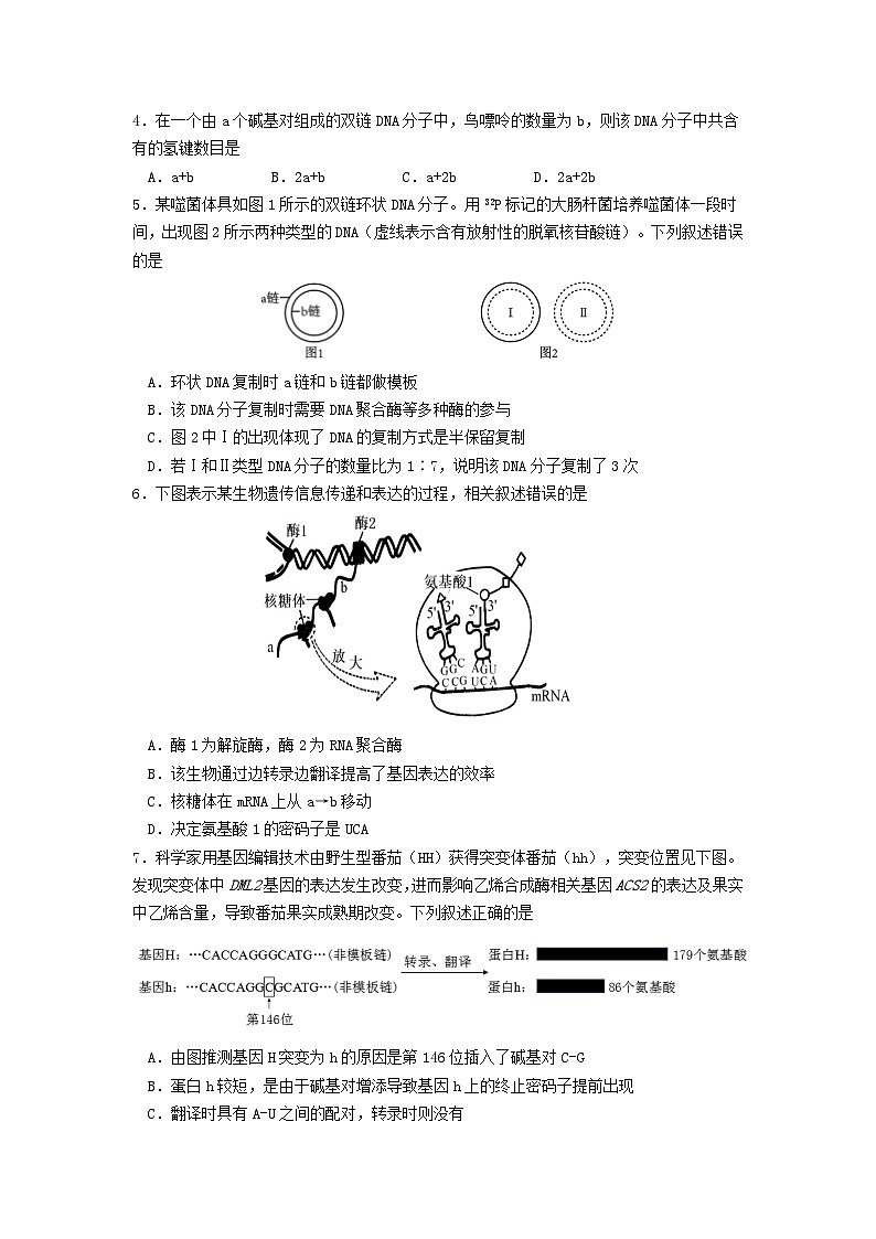 2024南京六校联合体高一下学期6月期末考试生物含答案02