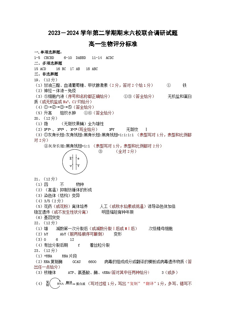 2024南京六校联合体高一下学期6月期末考试生物含答案01