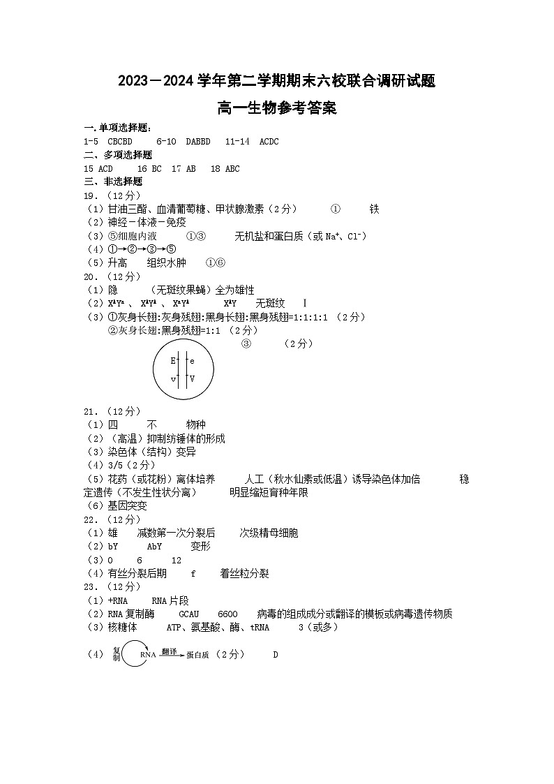 2024南京六校联合体高一下学期6月期末考试生物含答案01