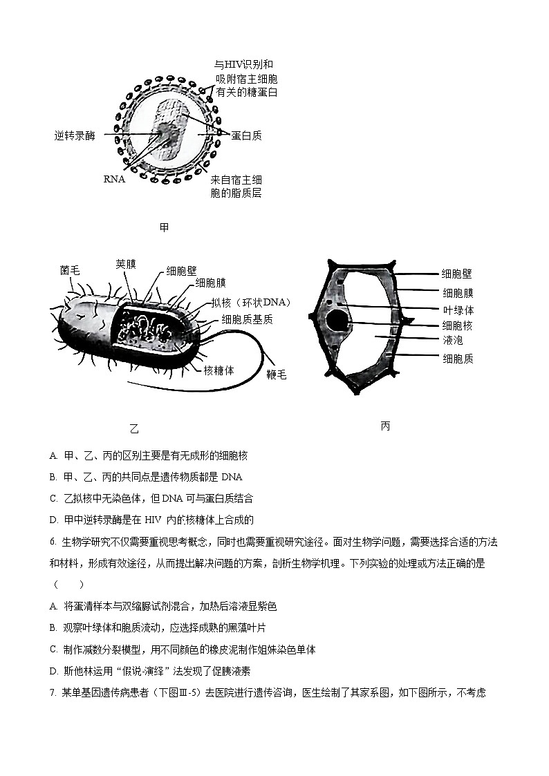 2024杭州六校高一下学期期末考试生物含解析02