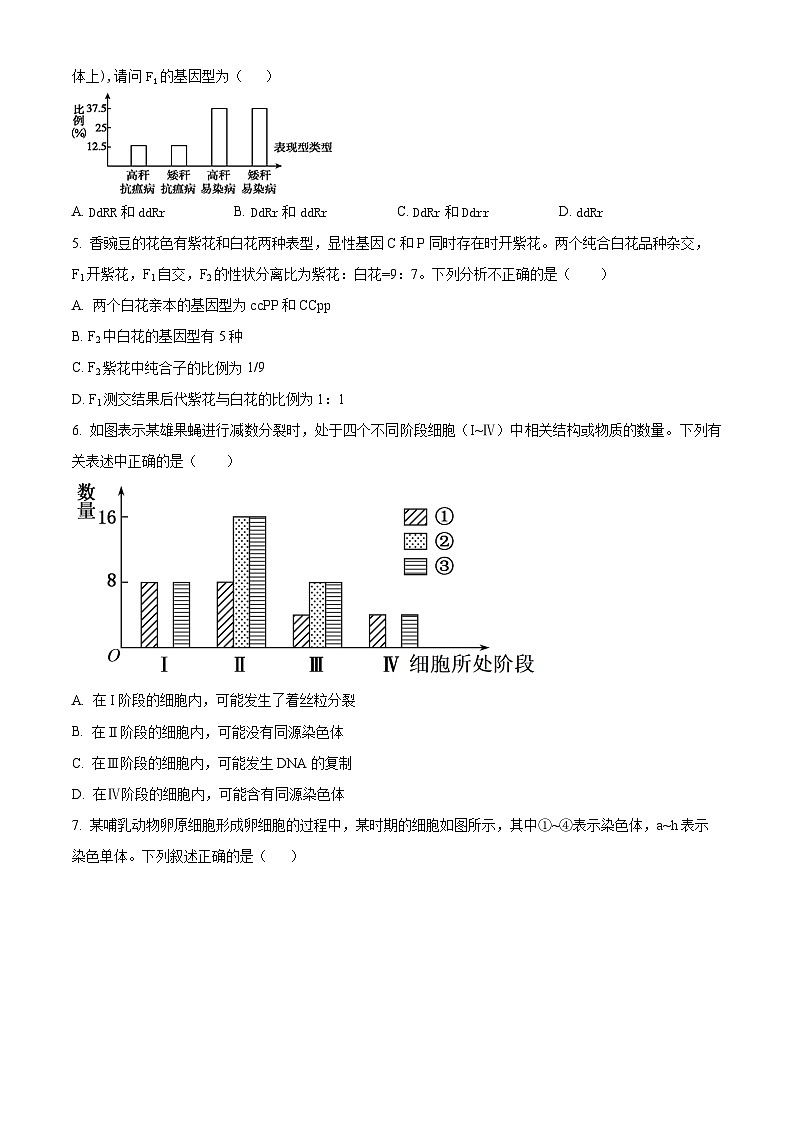 湖北省武汉市常青联合体重点中学2023-2024学年高一下学期期末联考生物试卷(Word版附解析)02