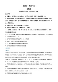 湖南省娄底市2023-2024学年高一下学期7月期末考试生物试题(Word版附解析)