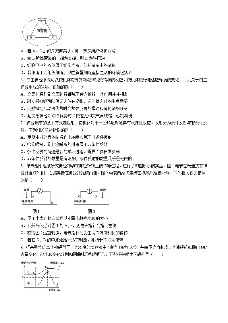 甘肃省金昌市永昌县第一高级中学2023-2024学年高二下学期第一次月考生物试卷第2页