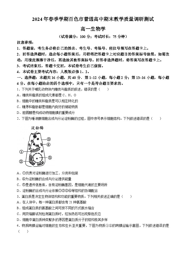 广西壮族自治区百色市2023-2024学年高一下学期期末考试生物试题第1页