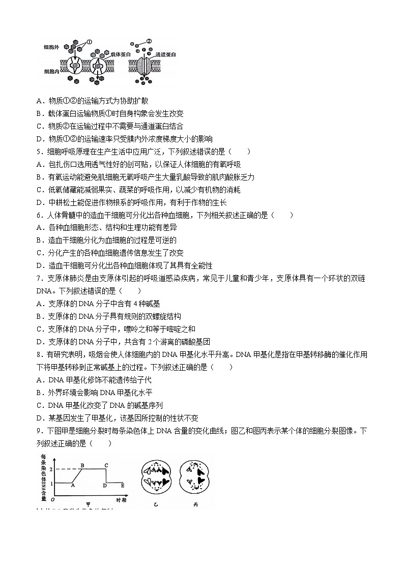广西壮族自治区百色市2023-2024学年高一下学期期末考试生物试题第2页
