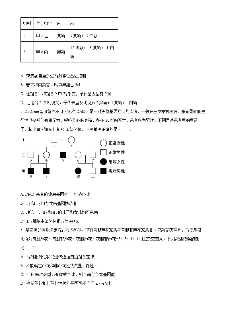 安徽省江南十校2023-2024学年高一下学期5月份模拟考试生物试题 Word版无答案第2页