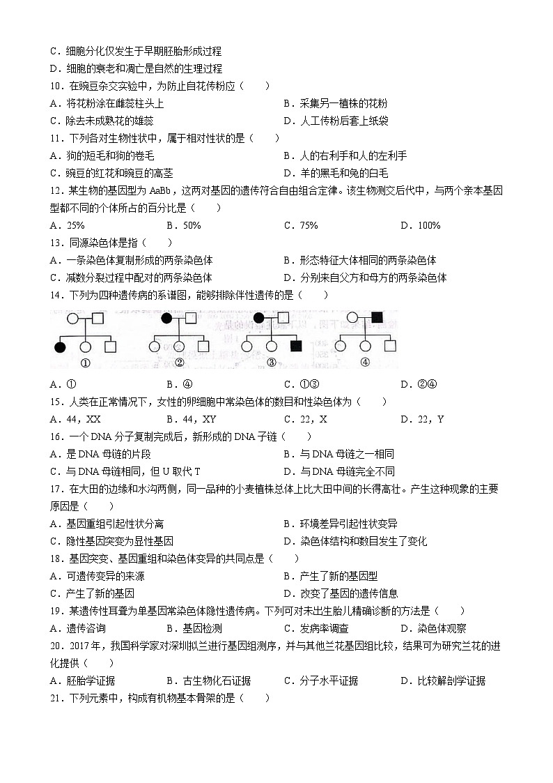 北京市通州区2023-2024学年高二下学期期末考试生物试题02