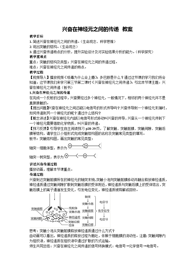 2.3.1 興奮在神經(jīng)元之間的傳遞 教案-2024-2025學年高二上學期生物人教版選擇性必修1第1頁