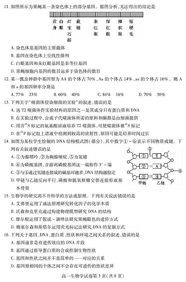 四川省内江市2023-2024学年高一下学期期末考试生物试题第3页