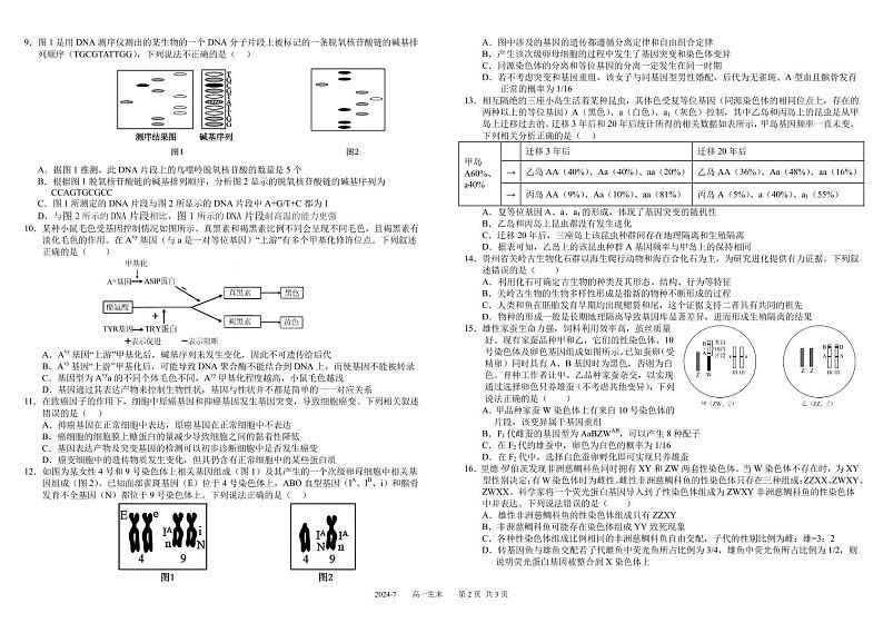 2024成都树德中学高一下学期期末考试生物PDF版含答案(可编辑)第2页
