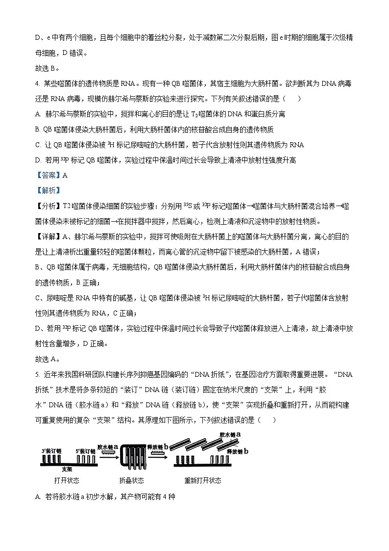 2024怀化高一下学期期末考试生物试题含解析03