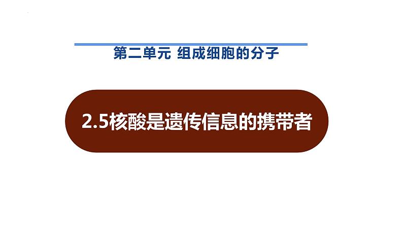 新人教版 高一 生物必修一 第二章 第五节 核酸是遗传信息的携带者 课件ppt01