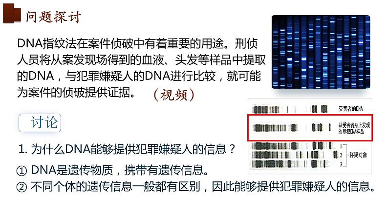 新人教版 高一 生物必修一 第二章 第五节 核酸是遗传信息的携带者 课件ppt04