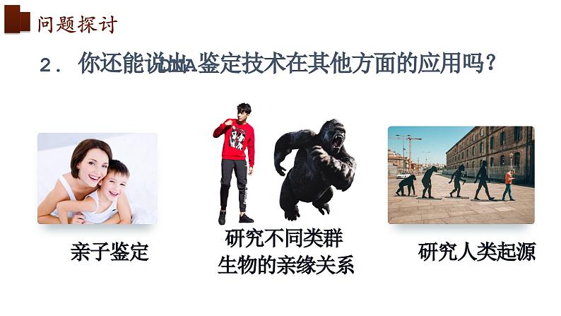 新人教版 高一 生物必修一 第二章 第五节 核酸是遗传信息的携带者 课件ppt05
