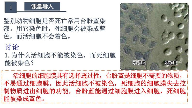 新人教版 高一 生物必修一 第三章 第一节 细胞膜的结构和功能 课件ppt第4页