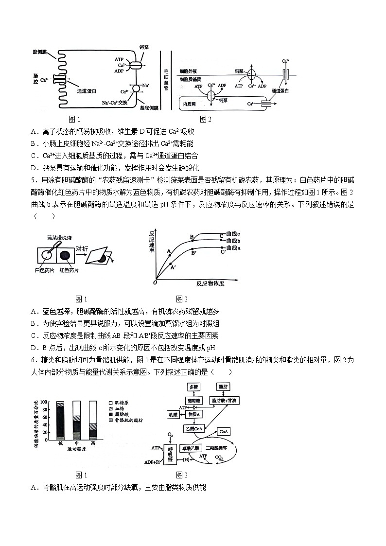 2024重庆市巴蜀中学高一下学期7月期末考试生物含解析第2页