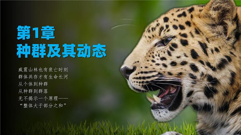 人教版2019高中生物选择性必修2课件1-2种群数量的变化(有限无水印版)第1页