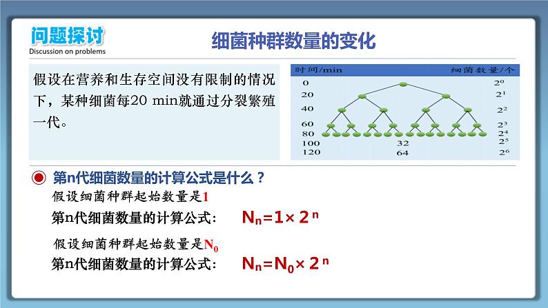 人教版2019高中生物选择性必修2课件1-2种群数量的变化(有限无水印版)第8页