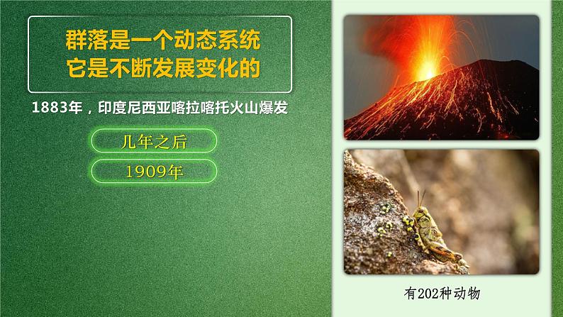 人教版2019高中生物选择性必修2课件2-3群落的演替(有限无水印版)07