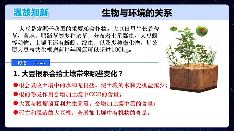 人教版2019高中生物选择性必修2课件3-1生态系统的结构(有限无水印版)第8页