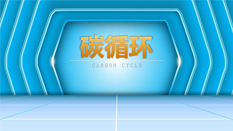 人教版2019高中生物选择性必修2课件3-3生态系统的物质循环第1课时(有限无水印版)第6页