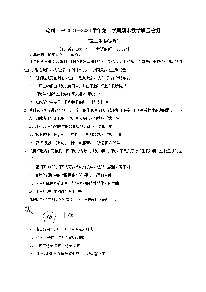 安徽省亳州市谯城区亳州市第二完全中学2023-2024学年高二下学期7月期末生物试题01