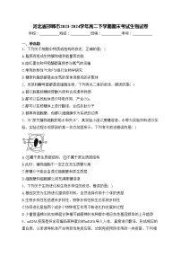河北省邯郸市2023-2024学年高二下学期期末考试生物试卷(含答案)