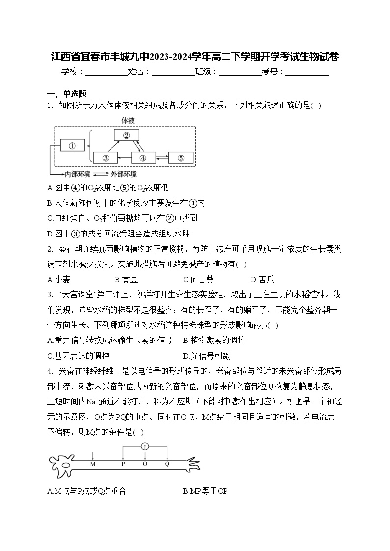 江西省宜春市丰城九中2023-2024学年高二下学期开学考试生物试卷(含答案)