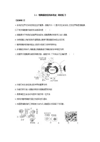 人教版 (2019)必修1《分子与细胞》第1节 细胞膜的结构和功能同步练习题