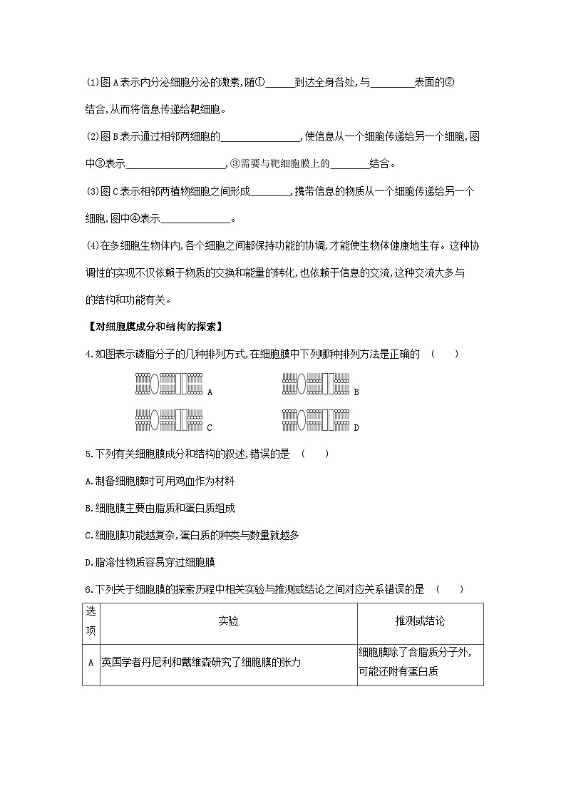 新人教版 高一 生物必修一 第三章 第一节 细胞膜的结构和功能 课时练(含答案)第2页