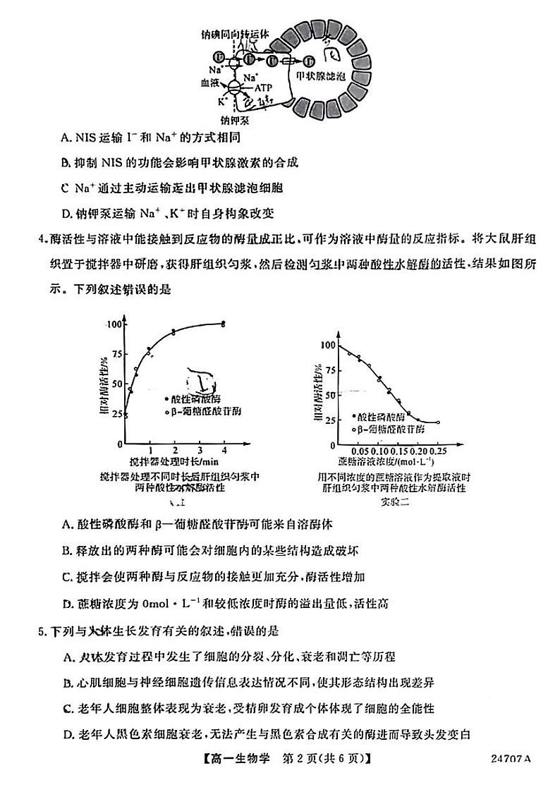 陕西省安康市教育联盟2023-2024学年高一下学期期末考试生物试题02