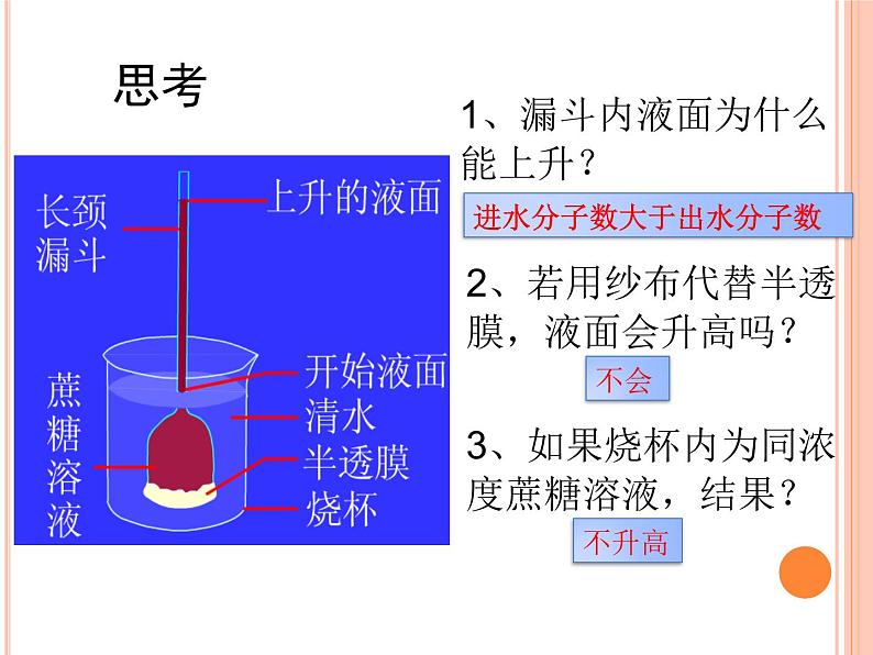 新人教版 高一 生物必修一 第四章 第一节 被动运输 课件ppt第6页