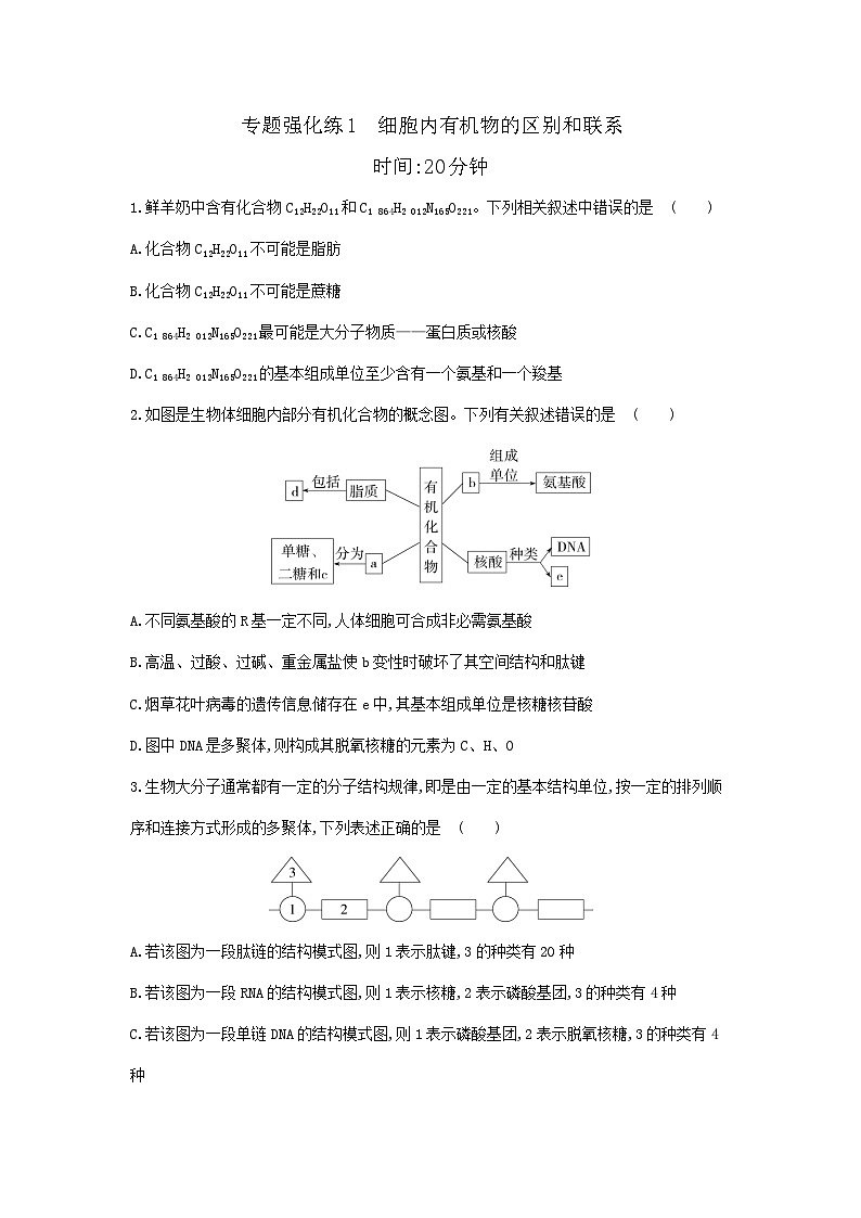 新人教版 高一 生物必修一 第二章 组成细胞的分子 专题强化练1 细胞内有机物的区别和联系 强化练习(含答案)01