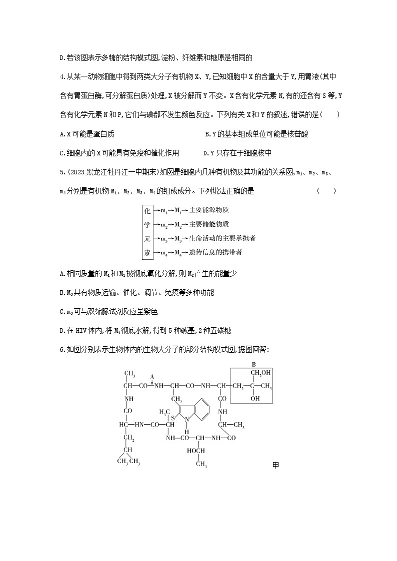 新人教版 高一 生物必修一 第二章 组成细胞的分子 专题强化练1 细胞内有机物的区别和联系 强化练习(含答案)02