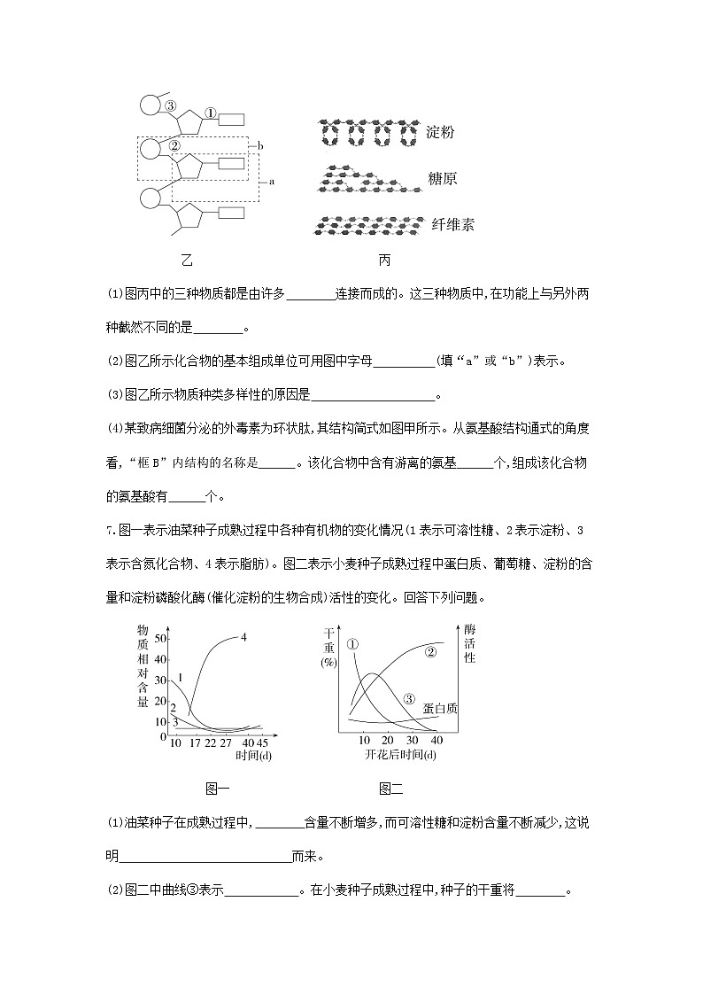 新人教版 高一 生物必修一 第二章 组成细胞的分子 专题强化练1 细胞内有机物的区别和联系 强化练习(含答案)03