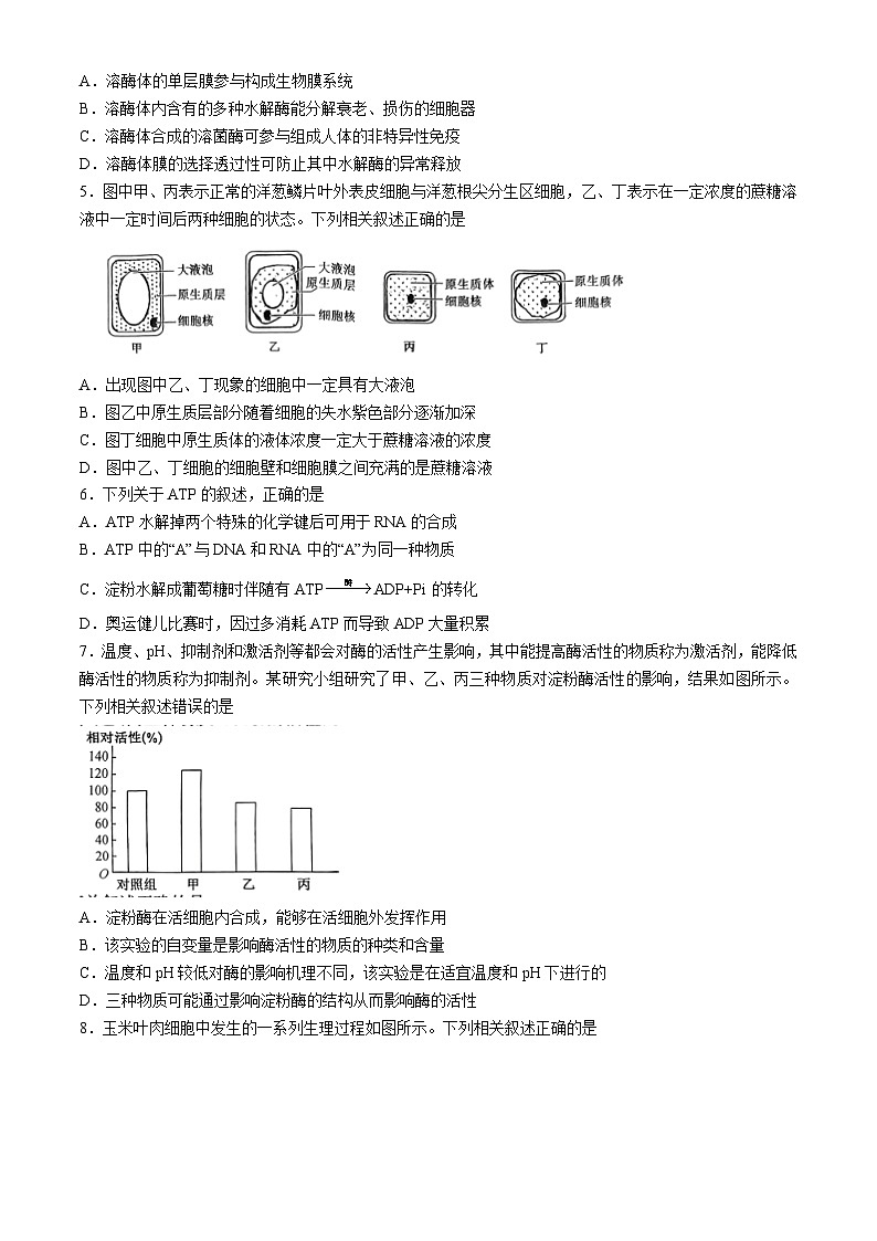 2024廊坊六校高二下学期7月期末联考试题生物含解析第2页