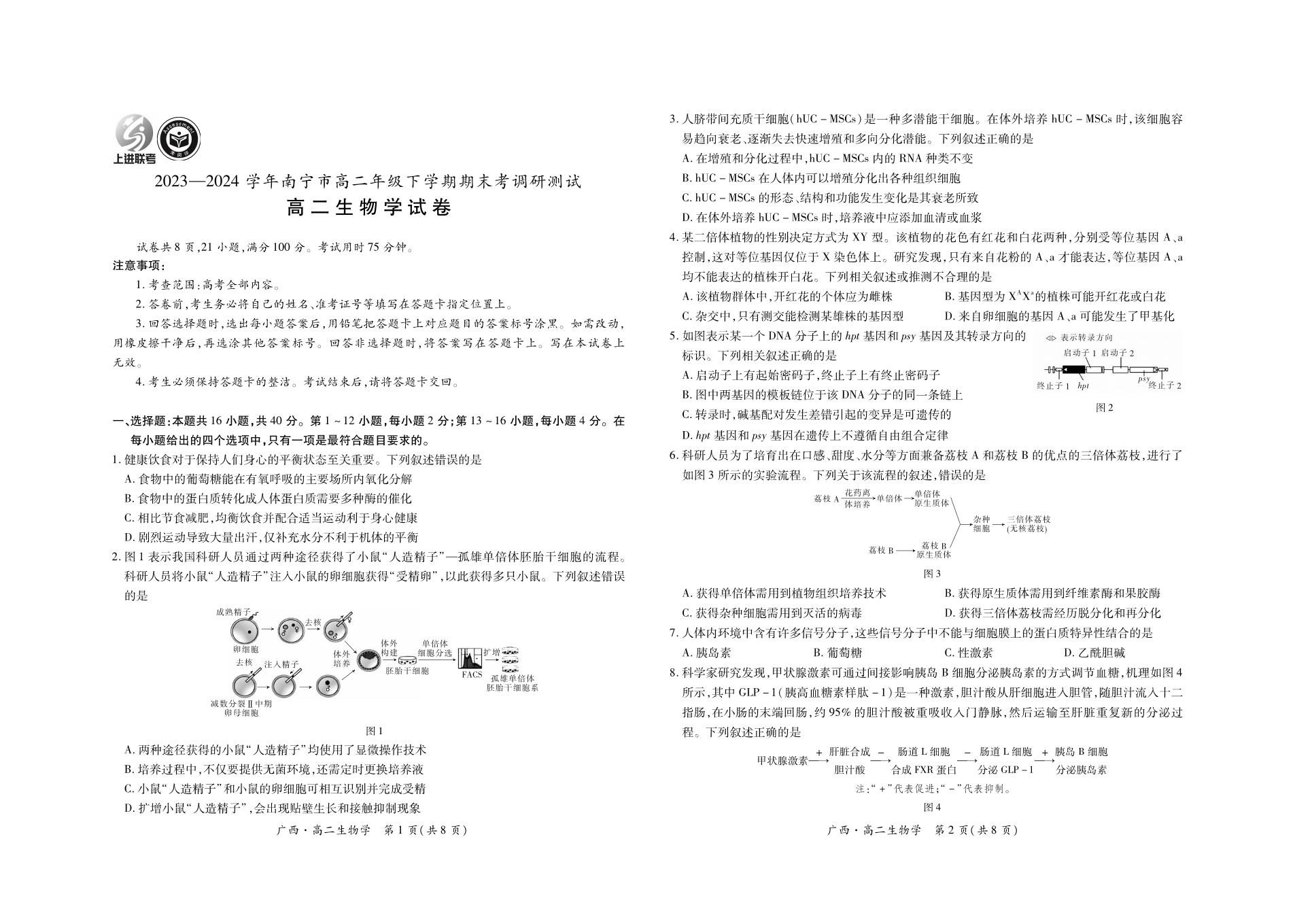 生物丨广西上进联考2025届高三7月期末调研测试生物试卷及答案